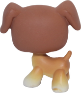 #0025 Boxer